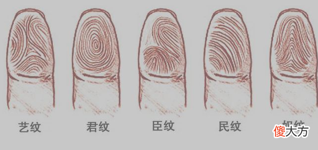 指纹算命十六-斗、簸箕、簸箕、簸箕、簸箕