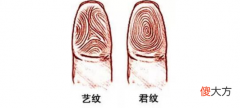 指纹算命三十一-簸箕、簸箕、簸箕、簸箕、斗