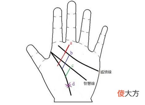 生命线预知你何时有灾祸