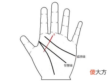 生命线预知你何时有灾祸