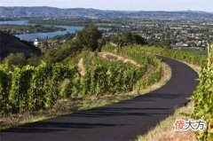 喝葡萄酒的正确方法 白葡萄酒的正确喝法