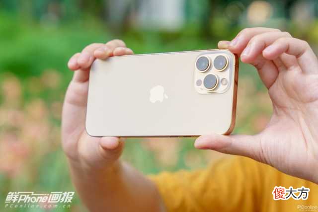 1200万像素尚能饭否 1200万像素和4800万像素