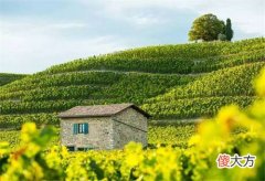 红酒店面装修风格效果图 红酒店装修风格效果图