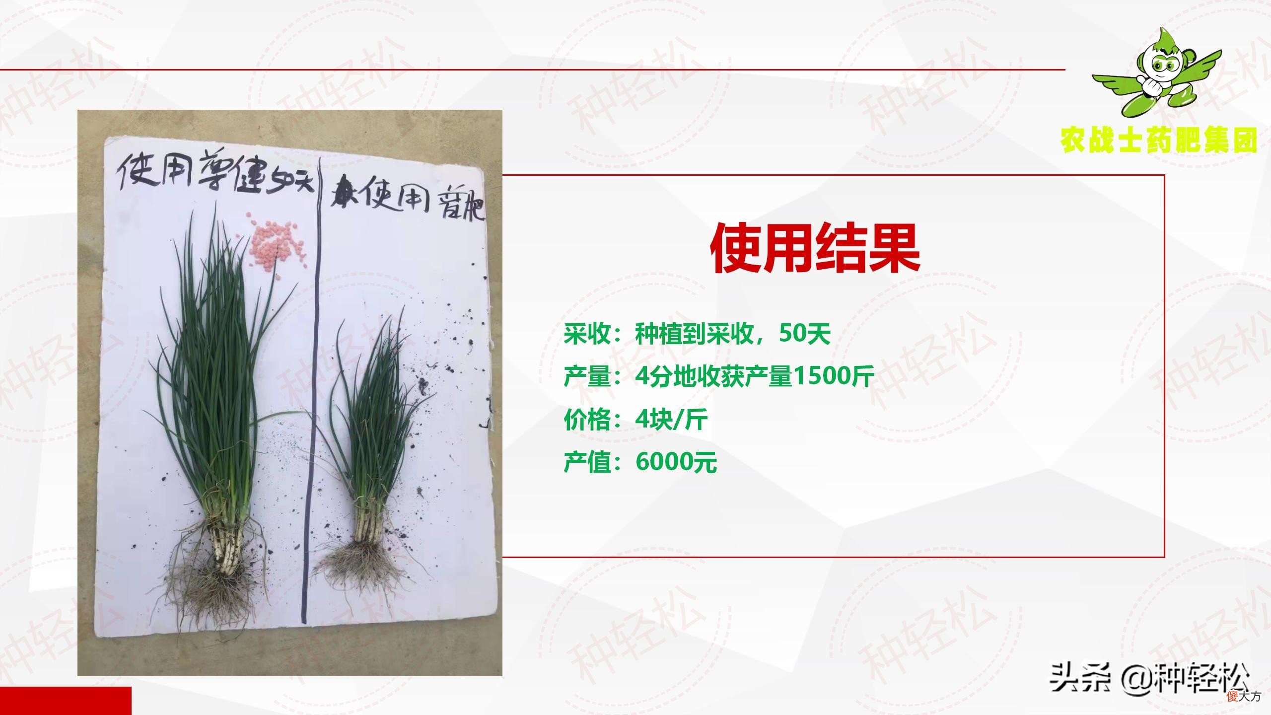 药肥是什么东西 药肥是什么肥料