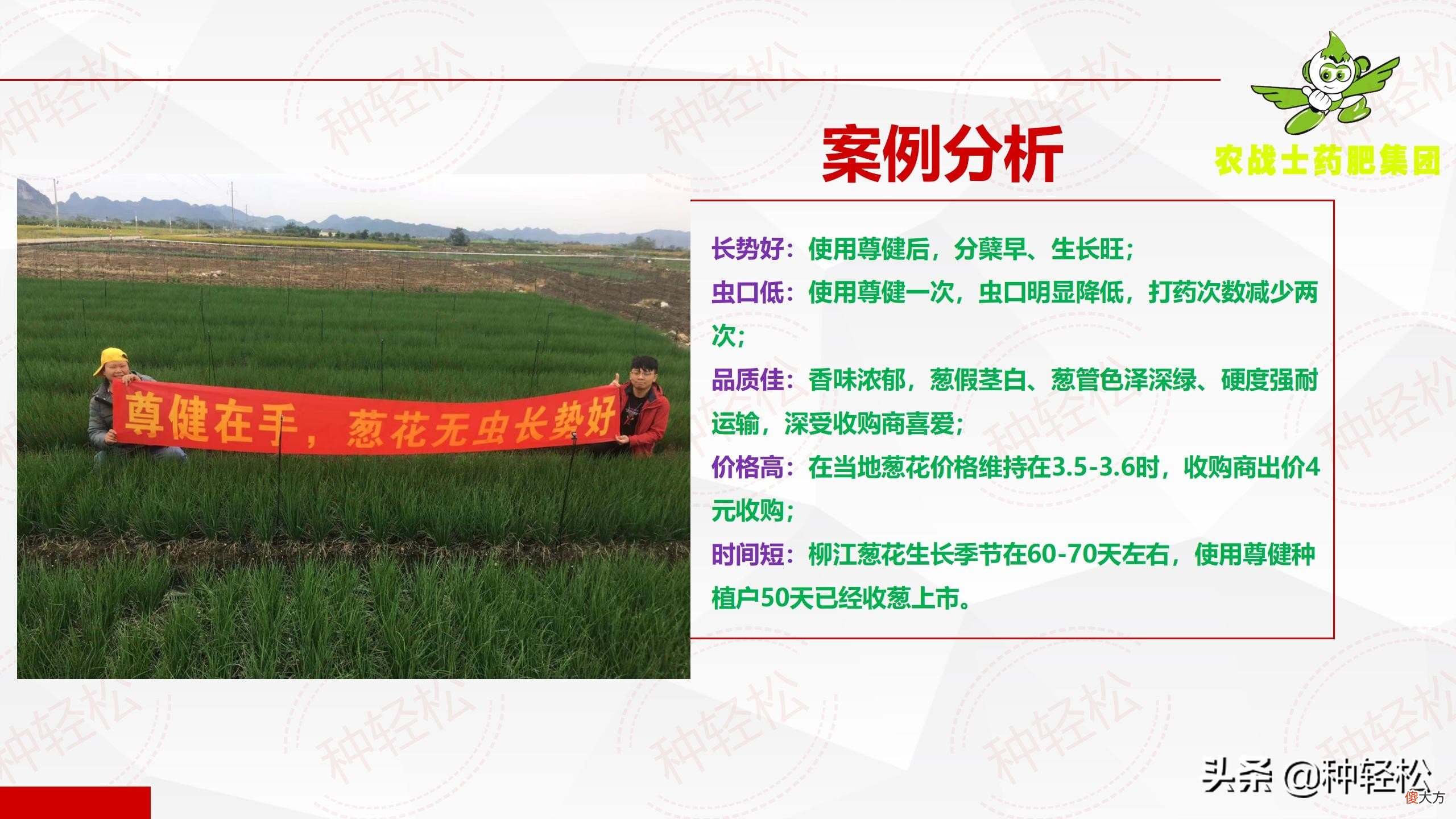 药肥是什么东西 药肥是什么肥料