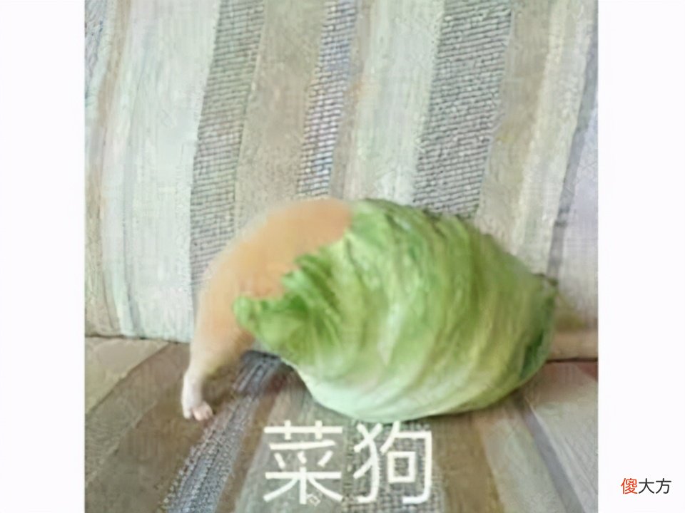 20年前选手操作多牛？几秒钟就打爆对方，手速比Fake还快？