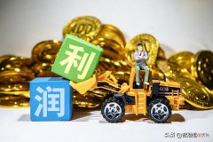 什么是未分配利润 什么叫未分配利润