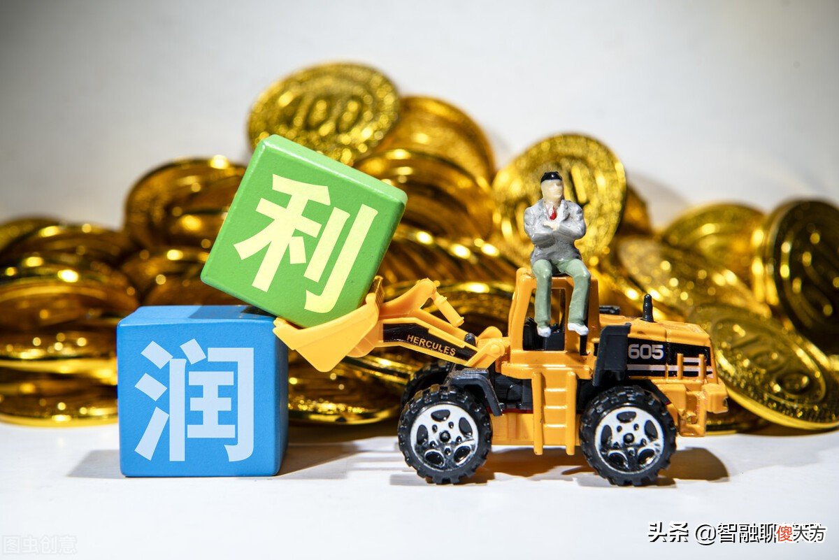 什么是未分配利润 什么叫未分配利润