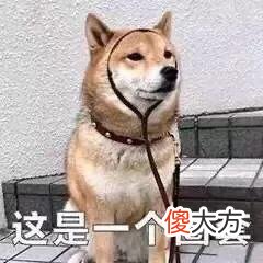 手机拍照就能挣钱你知道吗 拍照挣钱的app