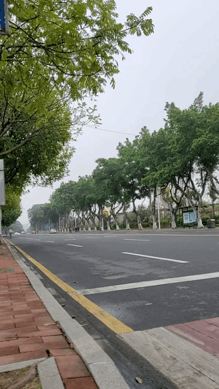 最亮眼的拍照神器 滤镜超好看的拍照软件
