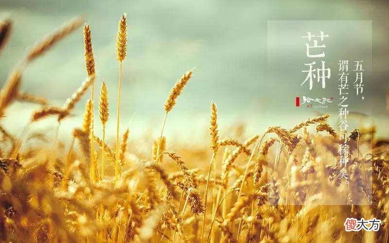 冬奥会开幕式二十四节气的古诗词都在这里了 二十四节气冬至诗词