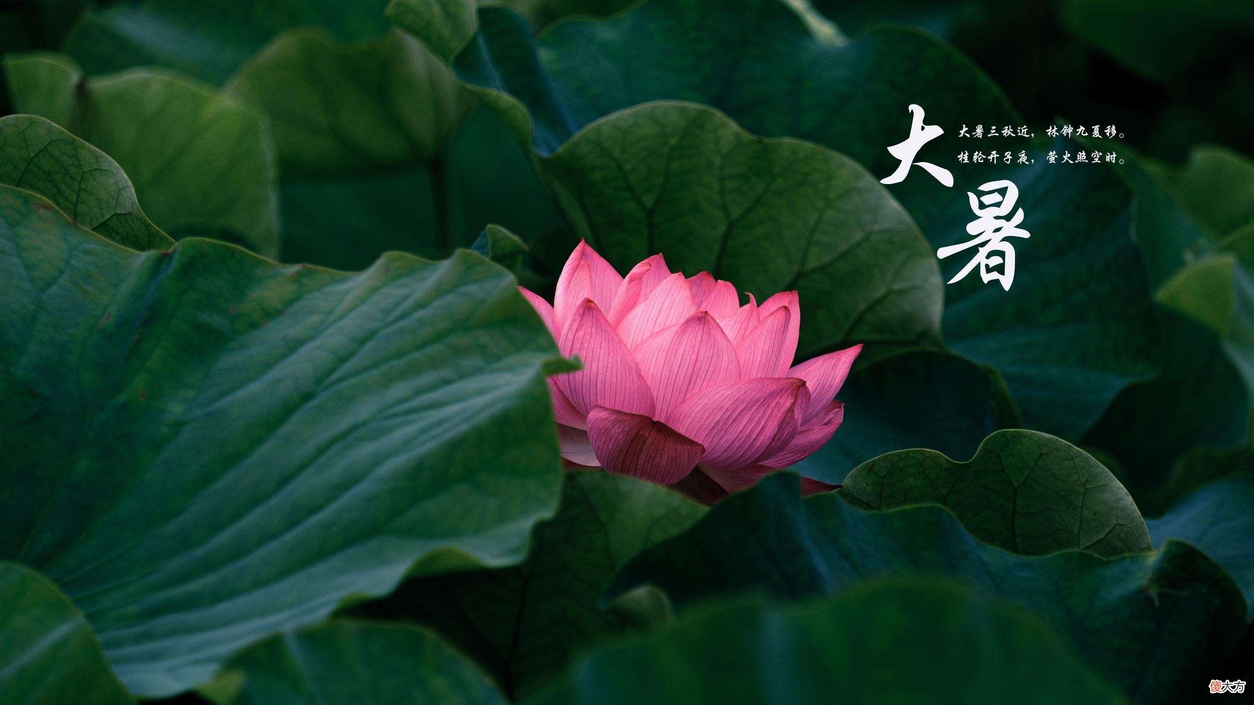 冬奥会开幕式二十四节气的古诗词都在这里了 二十四节气冬至诗词