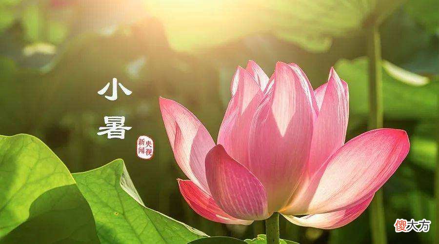 冬奥会开幕式二十四节气的古诗词都在这里了 二十四节气冬至诗词