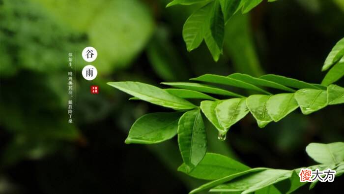 冬奥会开幕式二十四节气的古诗词都在这里了 二十四节气冬至诗词
