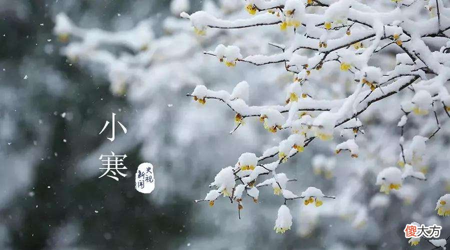 冬奥会开幕式二十四节气的古诗词都在这里了 二十四节气冬至诗词