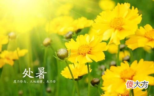 冬奥会开幕式二十四节气的古诗词都在这里了 二十四节气冬至诗词