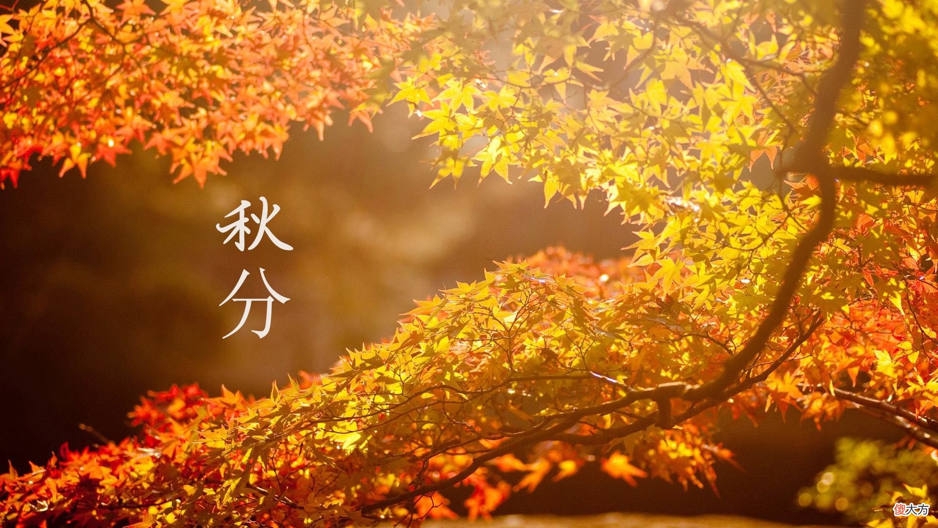 冬奥会开幕式二十四节气的古诗词都在这里了 二十四节气冬至诗词