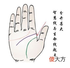 智慧线与生命线分开的手相图解