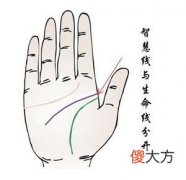智慧线与生命线分开的手相图解
