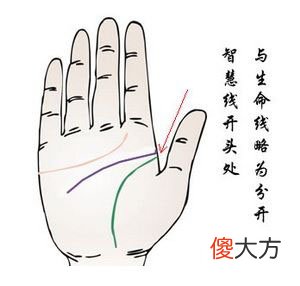 智慧线与生命线分开的手相图解