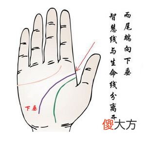 智慧线与生命线分开的手相图解