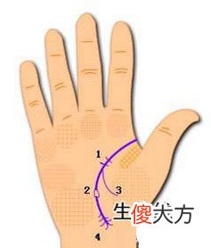 生命线图解