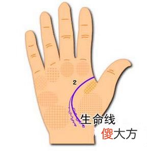 生命线图解