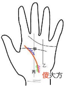 生命线图解