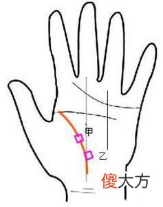 生命线图解