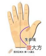 生命线图解