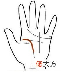 生命线图解