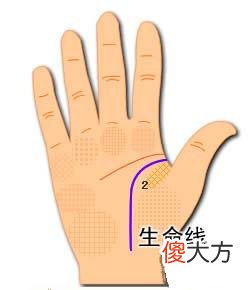 生命线图解