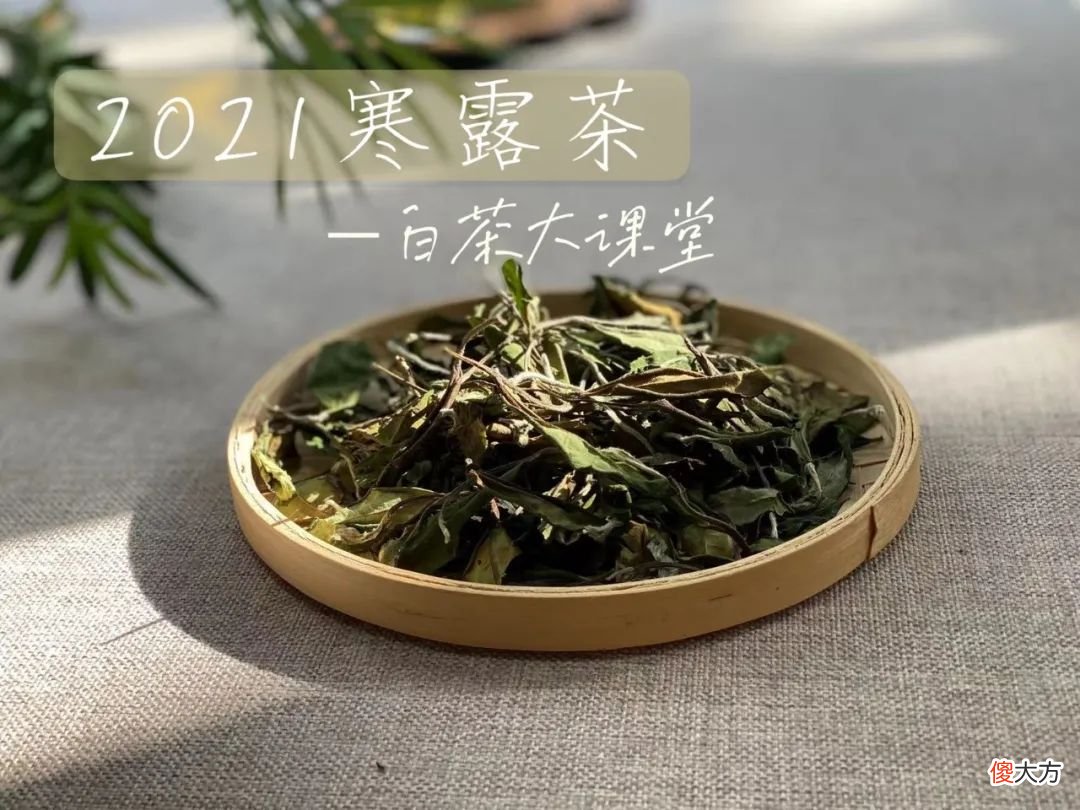 今年的秋白茶刚刚到手 秋天 白茶