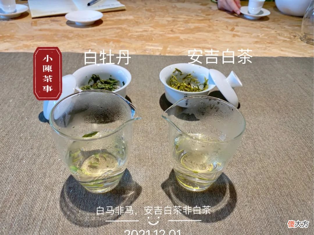 今年的秋白茶刚刚到手 秋天 白茶