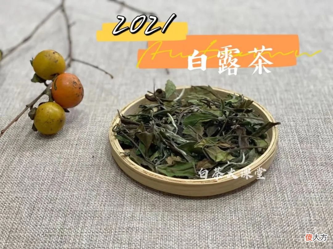 今年的秋白茶刚刚到手 秋天 白茶
