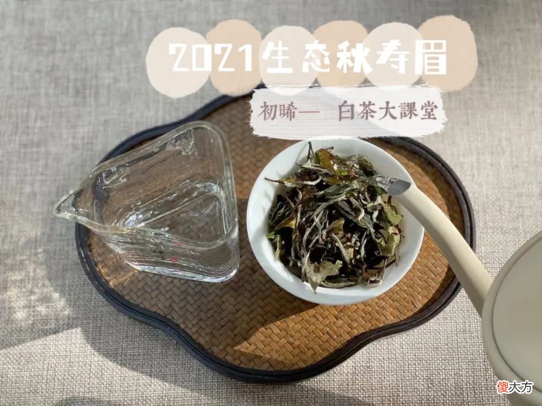 今年的秋白茶刚刚到手 秋天 白茶