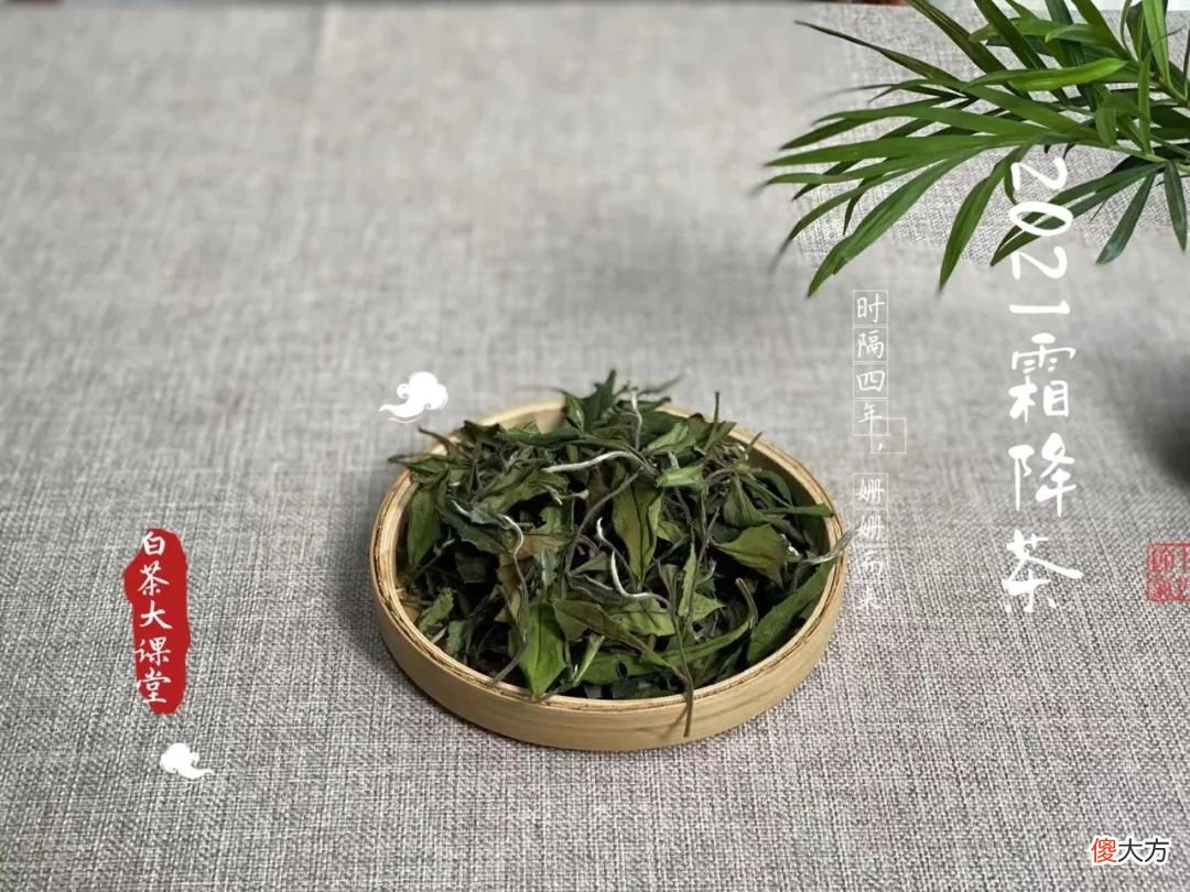 今年的秋白茶刚刚到手 秋天 白茶