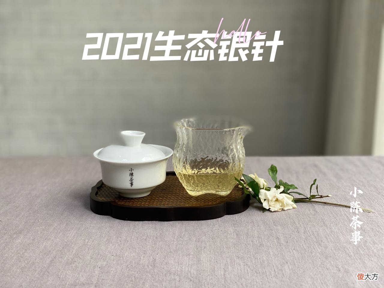 哪个才是冲泡白茶的最优解 白茶的冲泡方式有哪些
