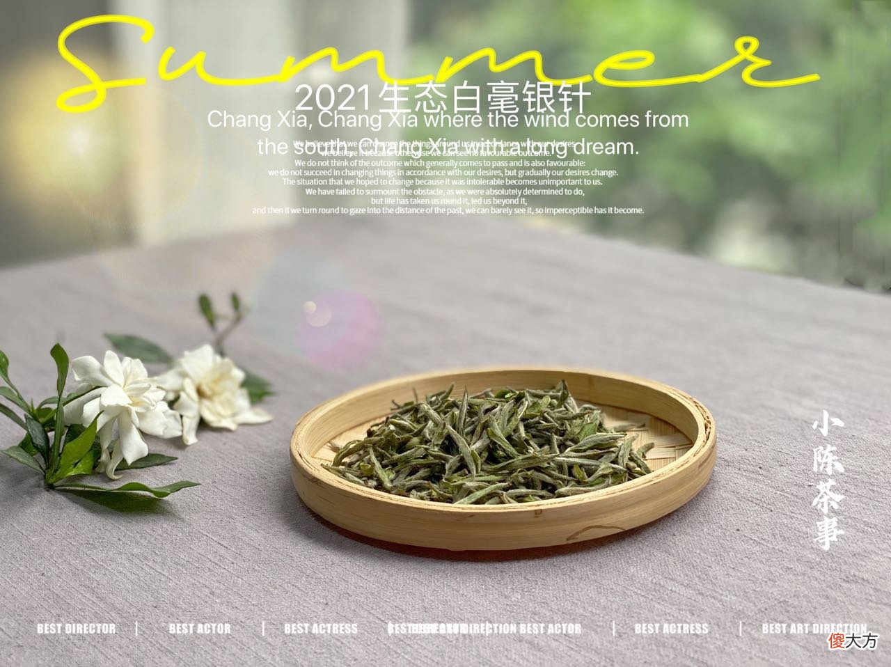 哪个才是冲泡白茶的最优解 白茶的冲泡方式有哪些