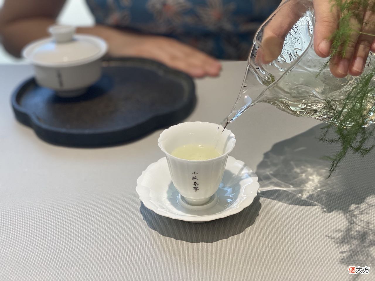 哪个才是冲泡白茶的最优解 白茶的冲泡方式有哪些