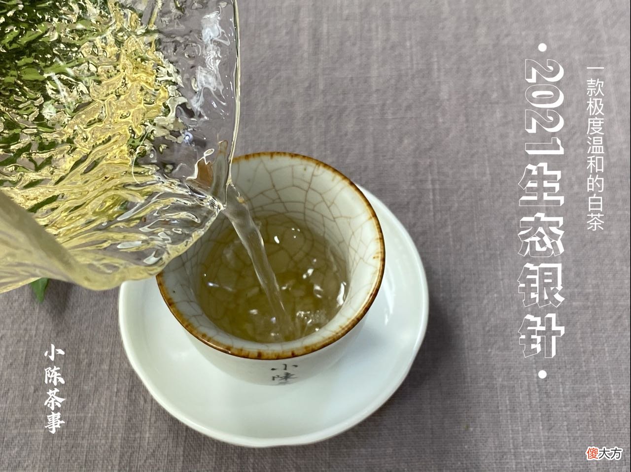 哪个才是冲泡白茶的最优解 白茶的冲泡方式有哪些