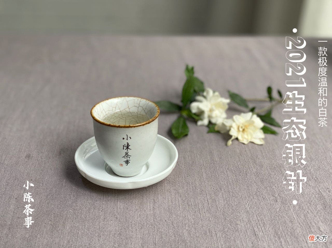 哪个才是冲泡白茶的最优解 白茶的冲泡方式有哪些