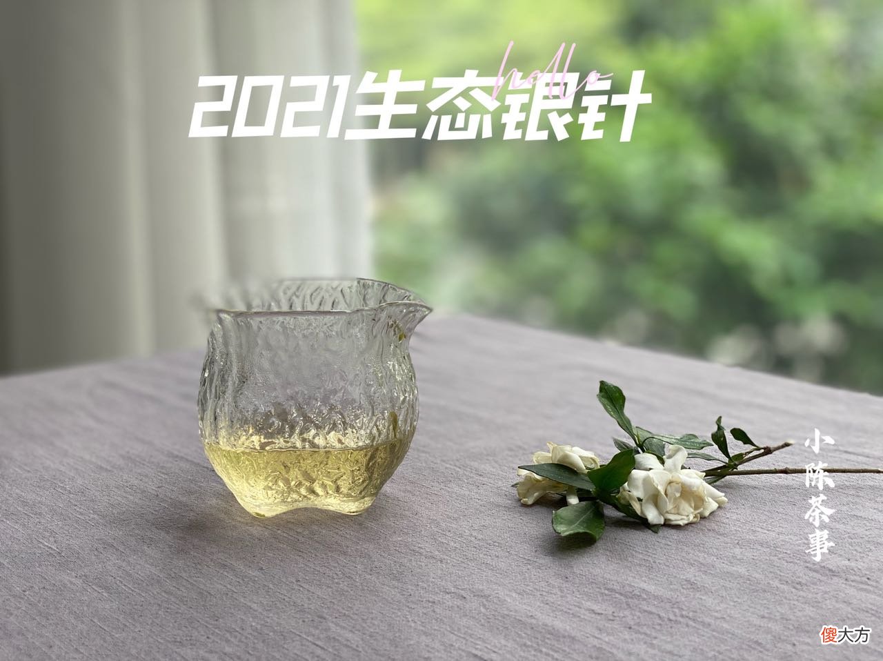聊聊2021新白茶的各色花香 2021年白茶