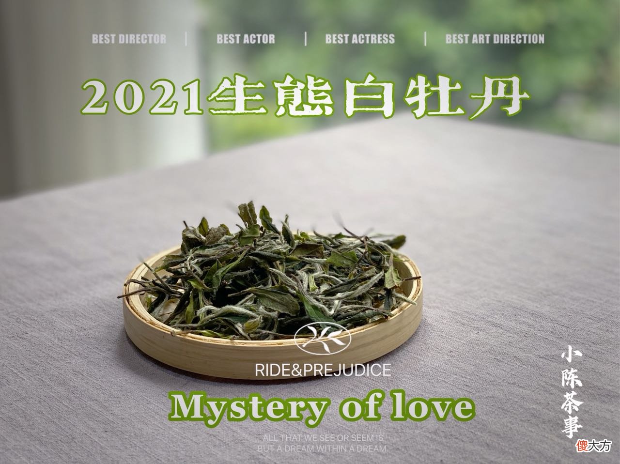 聊聊2021新白茶的各色花香 2021年白茶
