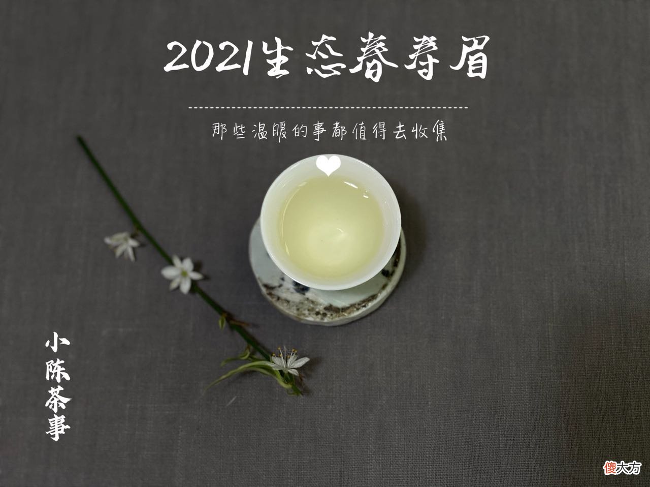 聊聊2021新白茶的各色花香 2021年白茶