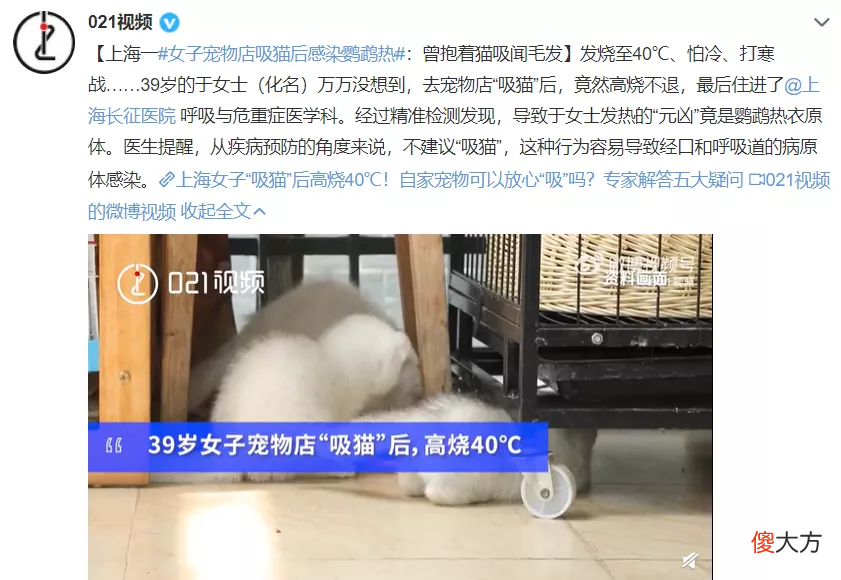 什么是鹦鹉热 什么是鹦鹉热事件