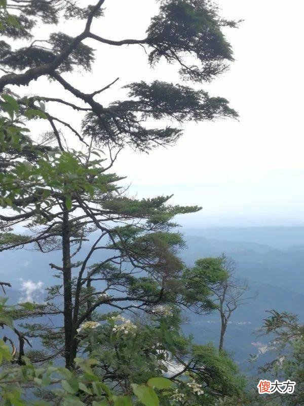 你知道吗？我国这条1055米的瀑布景色绝美，比庐山瀑布还高120尺