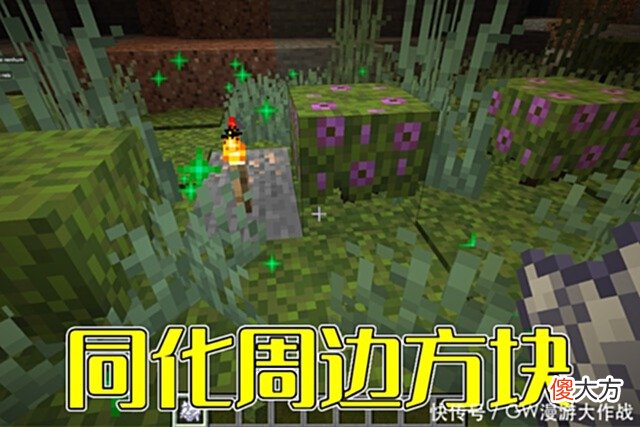 【游戏世界】我的世界：被低估的苔藓块，有关于它的秘密用途，挖矿最好用