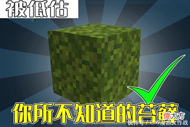 【游戏世界】我的世界：被低估的苔藓块，有关于它的秘密用途，挖矿最好用