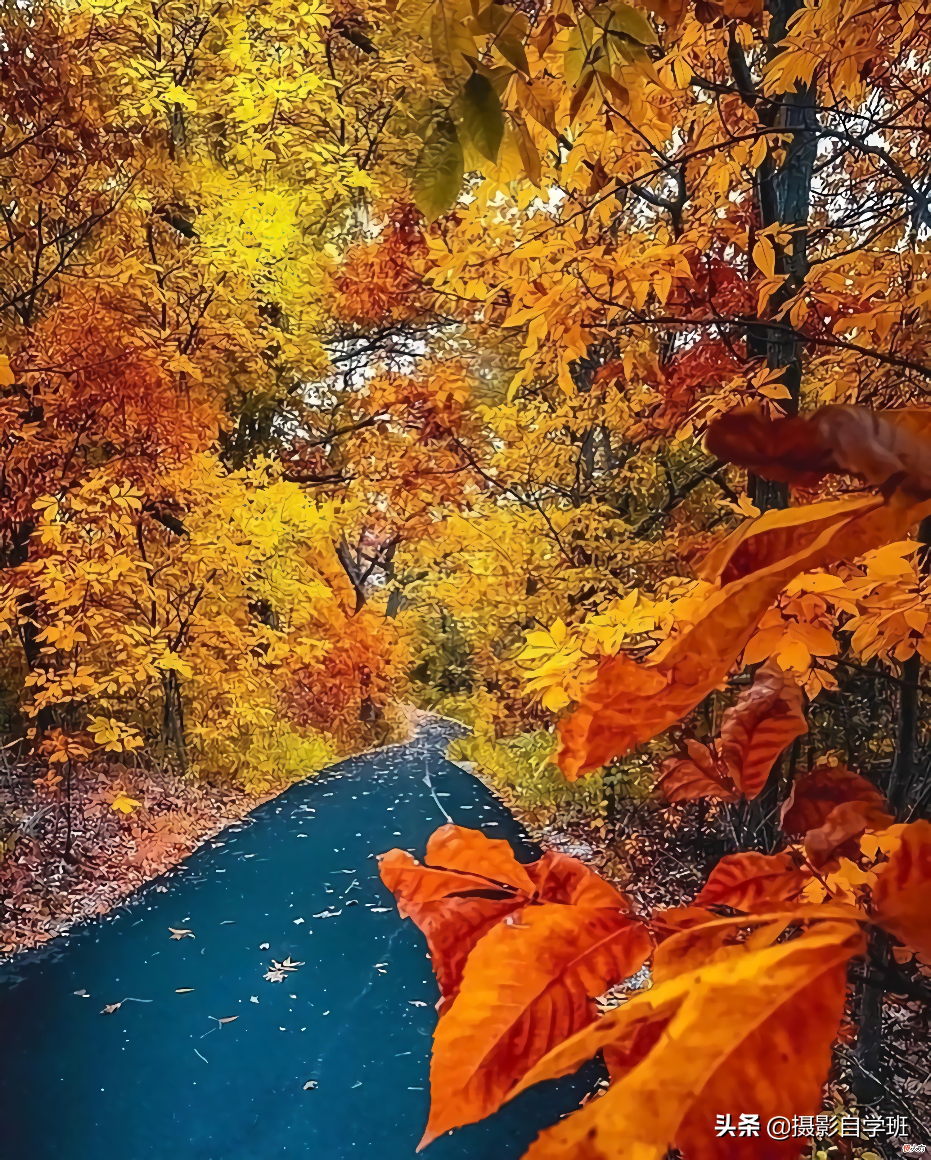 帮你风光照片更美 阳光风景美图